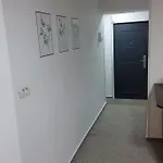 Pp's Under Tampa Apartment