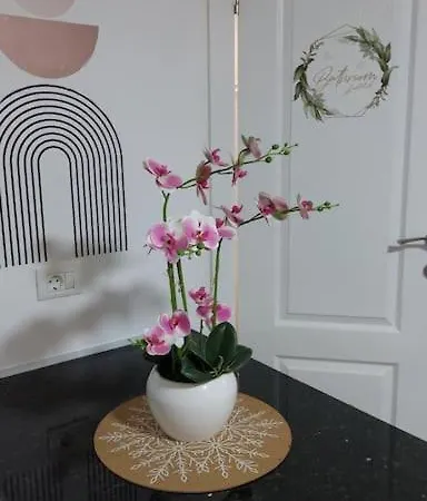 Appartement Pp's Under Tâmpa