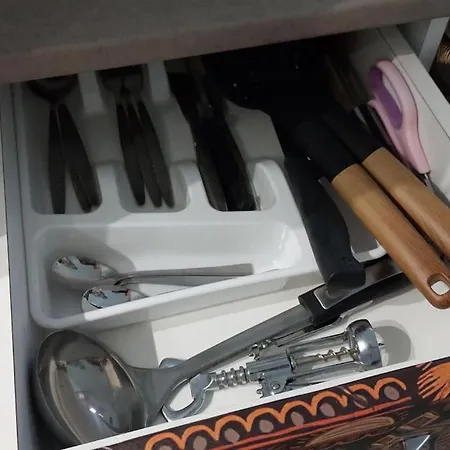 Pp's Under Tampa Apartment