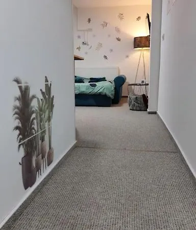 Pp's Under Tâmpa Appartement