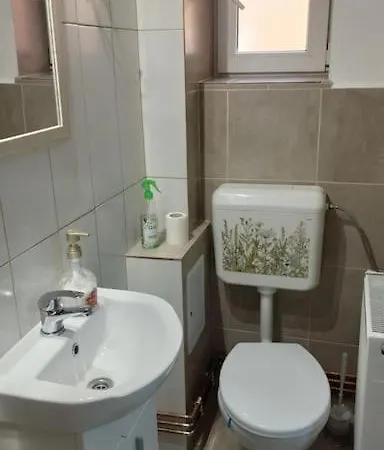 Pp's Under Tampa Apartment Brasov
