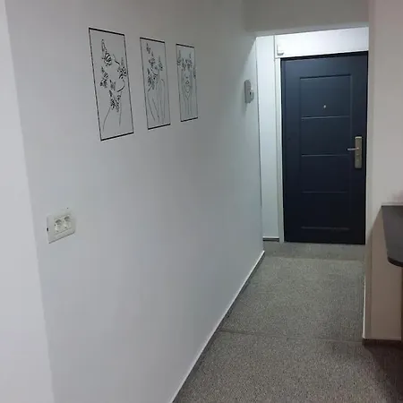 Pp's Under Tâmpa Appartement