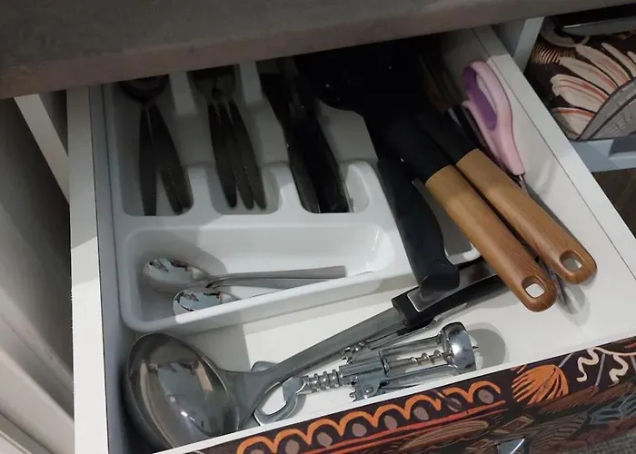 Pp's Under Tampa Apartment