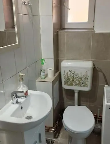 Pp's Under Tampa Apartment Brasov